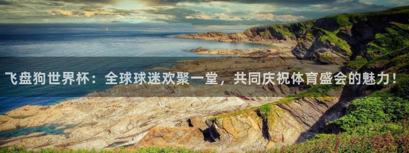 2026年世界杯对阵图:飞盘狗世界杯:全球球迷欢聚一堂,共同庆祝体育盛会的魅力!