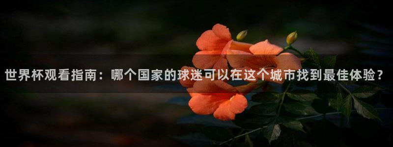世界杯预选赛赛程表:世界杯观看指南:哪个国家的球迷可以在这个城市找到最佳体验?