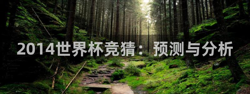 世界杯欧洲区预选赛赛程:2014世界杯竞猜:预测与分析
