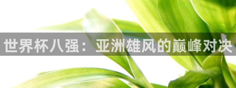 世界杯:世界杯八强:亚洲雄风的巅峰对决