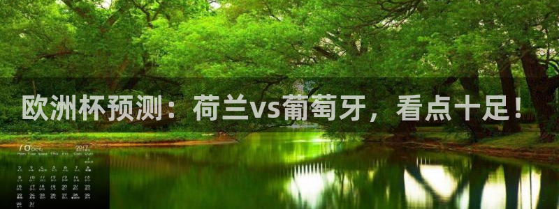 世界杯官网:欧洲杯预测:荷兰vs葡萄牙,看点十足!