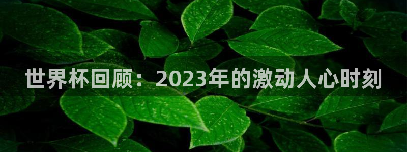 世界杯官网入口:世界杯回顾:2023年的激动人心时刻