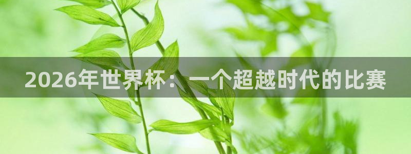 女足世界杯赛程:2026年世界杯:一个超越时代的比赛