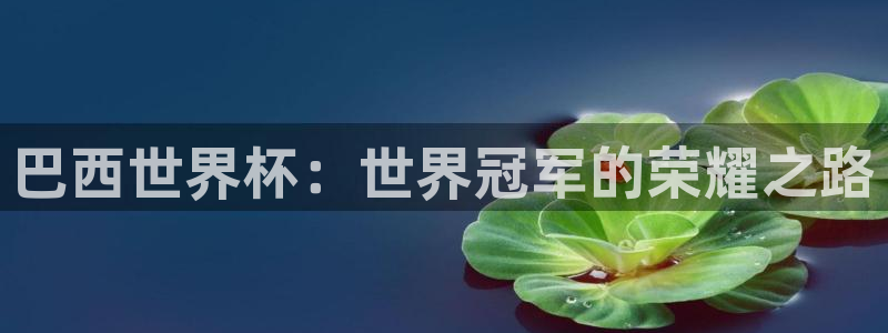 2026世界杯直播:巴西世界杯:世界冠军的荣耀之路
