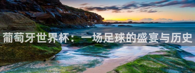 联赛杯直播:葡萄牙世界杯:一场足球的盛宴与历史